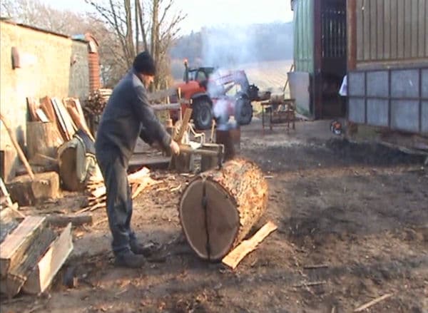 English woodland management at Winterborne Zelston Fencing
